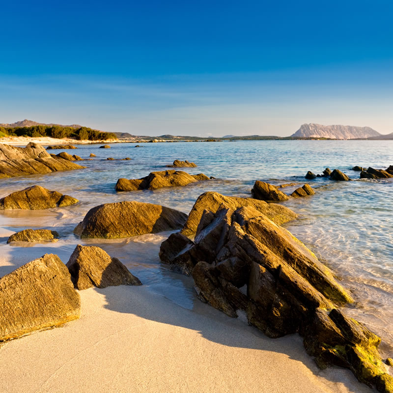 nexus hotels residence appartamenti tiffany san teodoro sardegna le spiagge