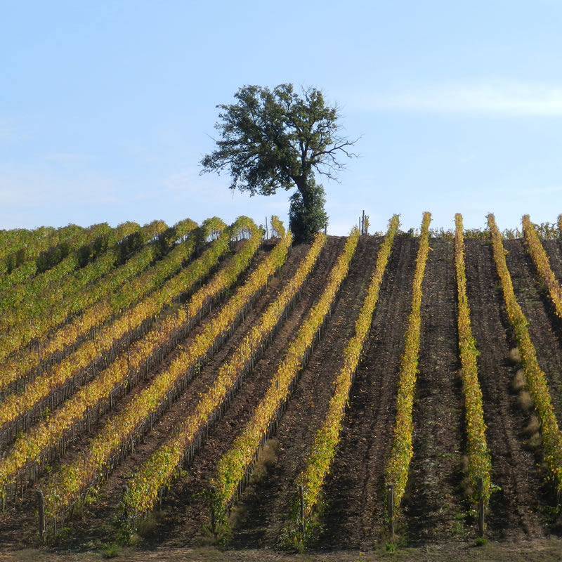 residence giuly rosselmini santa luce in toscana